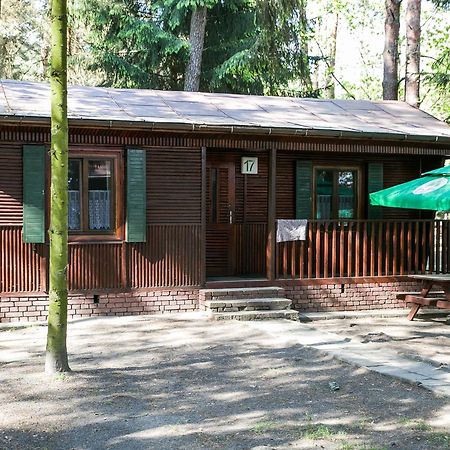 Lesna Ryba Hotel Jedlanka Stara Bilik gambar