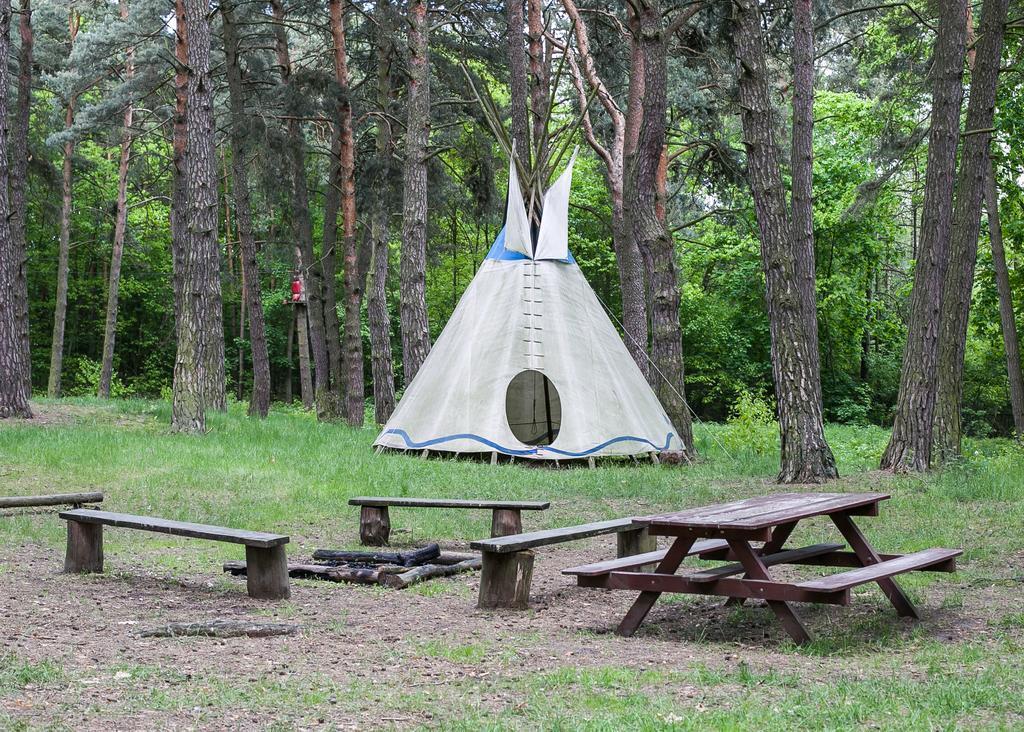 Lesna Ryba Hotel Jedlanka Stara Luaran gambar